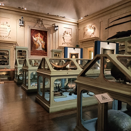 museo dedicato ad Aldrovandi